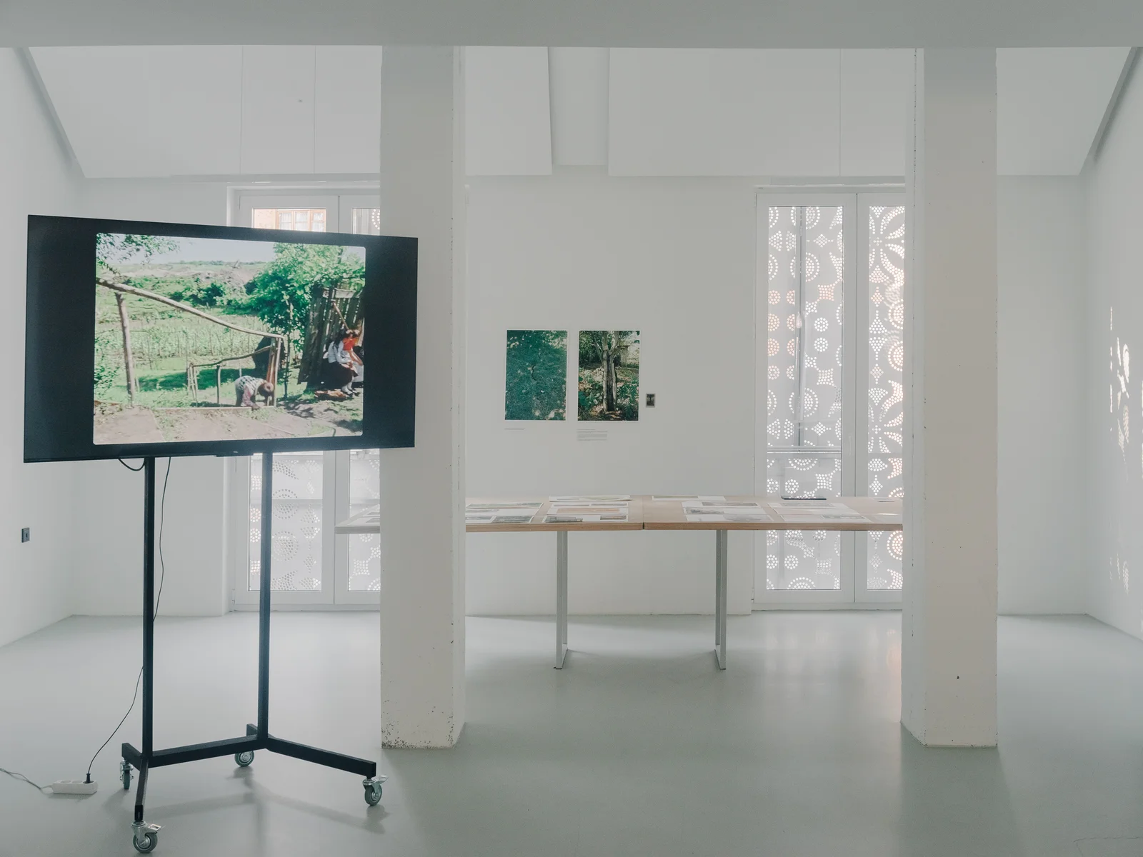 A white gallery room with a screen on a stand playing rural footage, and low vitrine tables of documents alongside it.