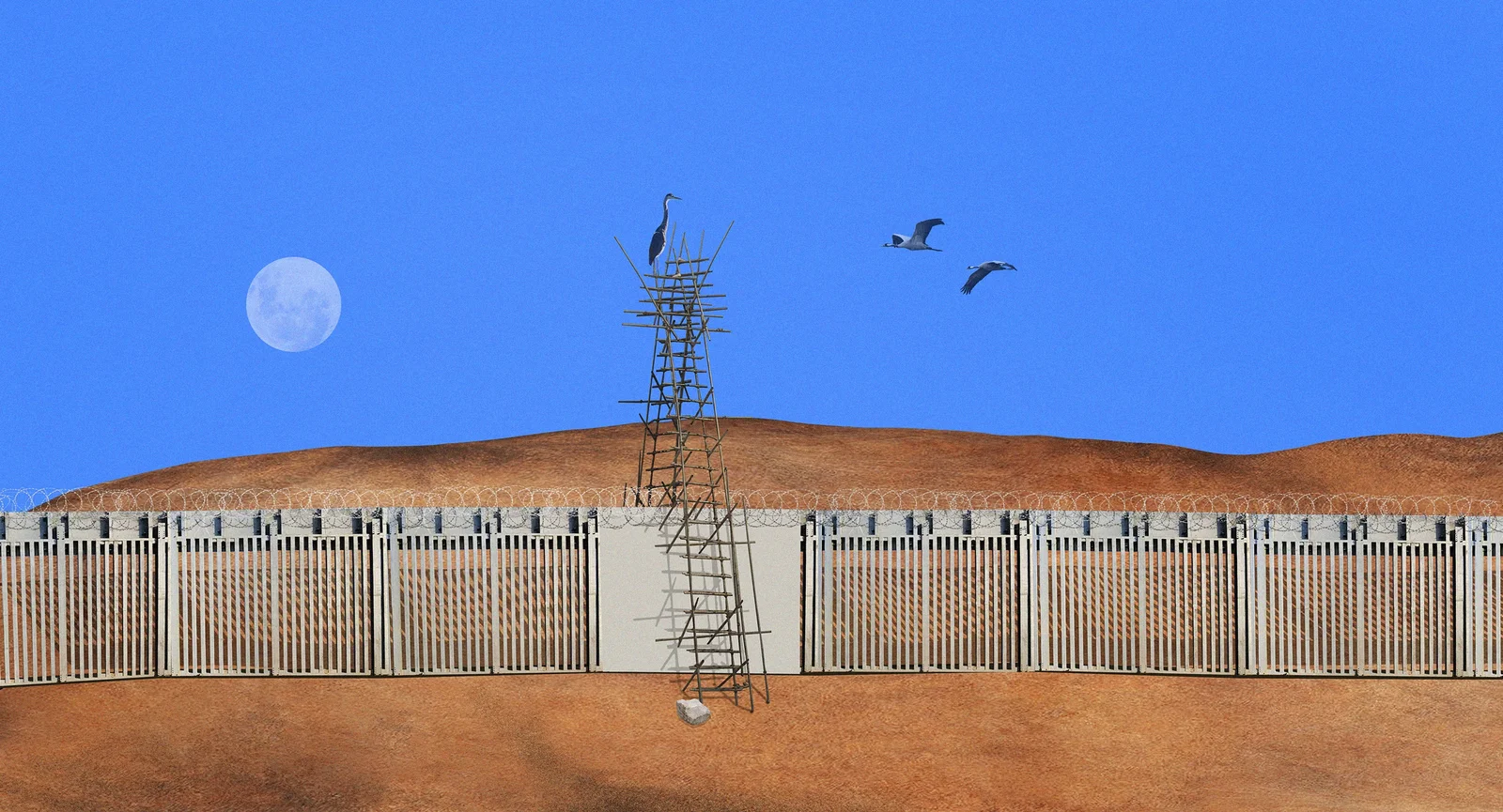 Illustration of a heron standing on a bamboo scaffold above a razor-wire border fence, with cranes flying past a low moon.