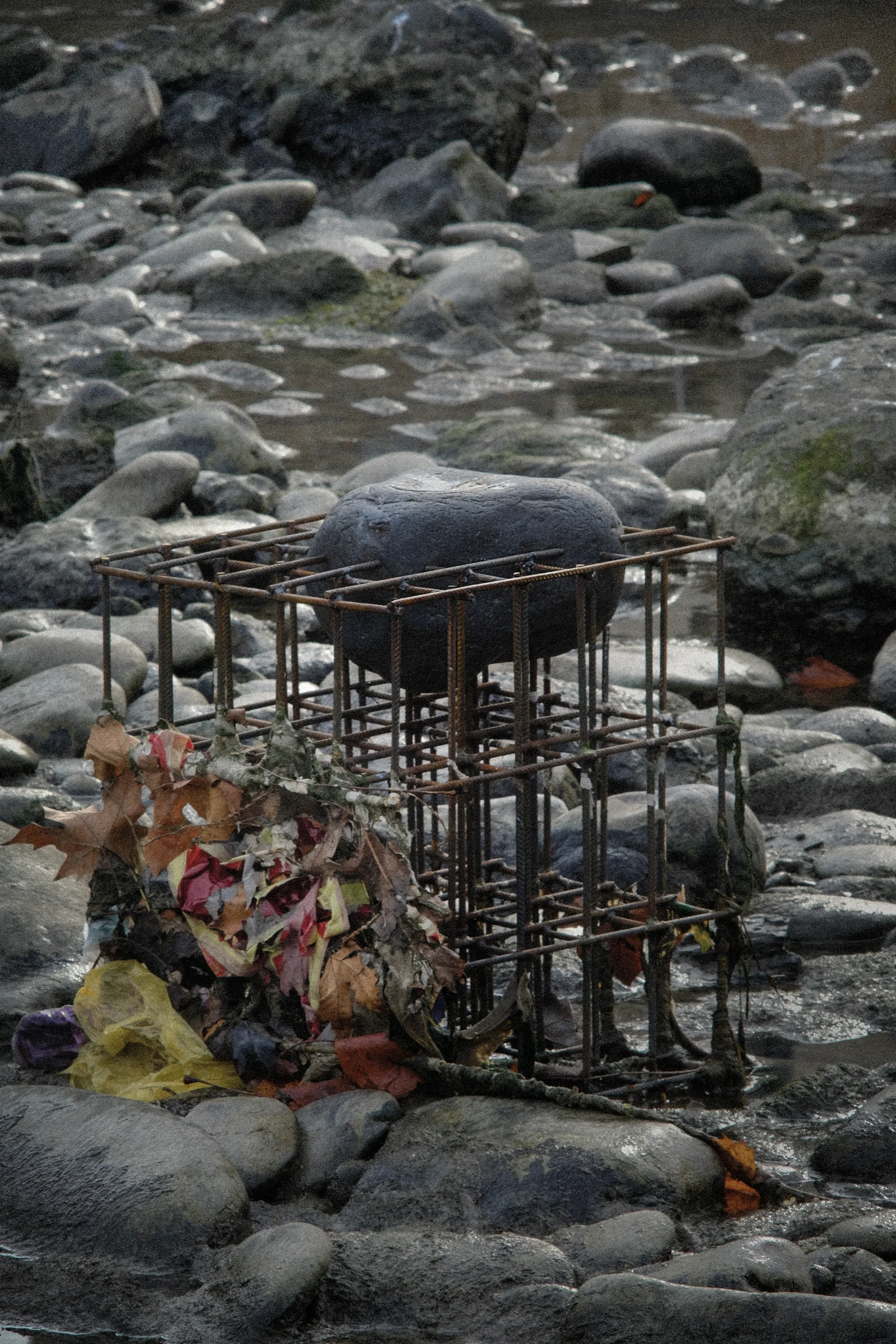 A cage welded from reinforcing bar holding a single large boulder in a stony river bed, with torn plastic and dead leaves caught along one side.