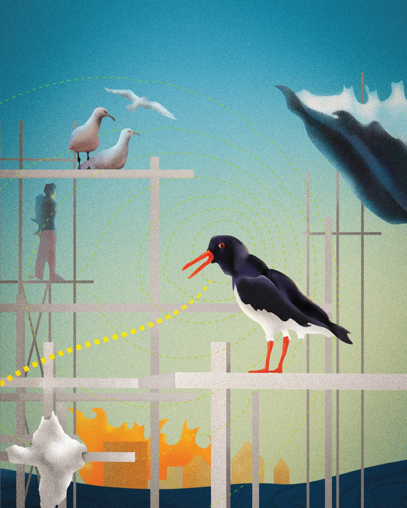 Illustration of an oystercatcher and two gulls perched on grey scaffolding above a burning building, with a figure standing on an upper deck and a wave breaking overhead.